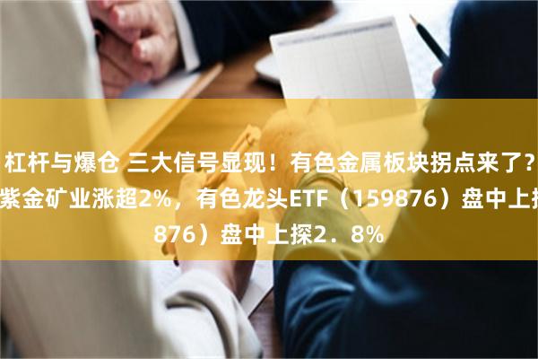 杠杆与爆仓 三大信号显现！有色金属板块拐点来了？“铜茅”紫金矿业涨超2%，有色龙头ETF（159876）盘中上探2．8%