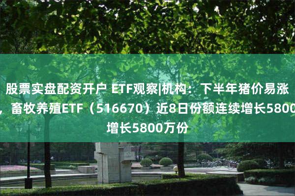 股票实盘配资开户 ETF观察|机构：下半年猪价易涨难跌，畜牧养殖ETF（516670）近8日份额连续增长5800万份