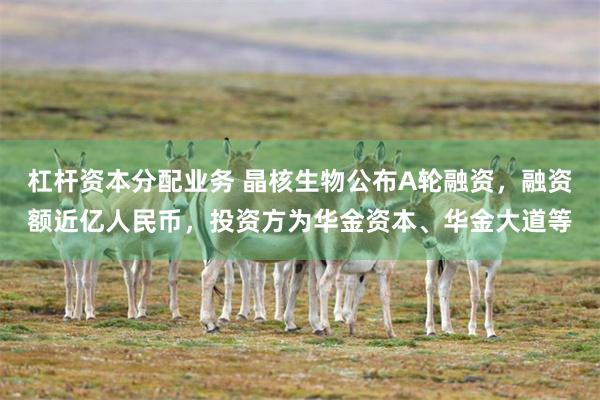 杠杆资本分配业务 晶核生物公布A轮融资，融资额近亿人民币，投资方为华金资本、华金大道等