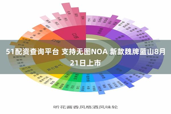 51配资查询平台 支持无图NOA 新款魏牌蓝山8月21日上市