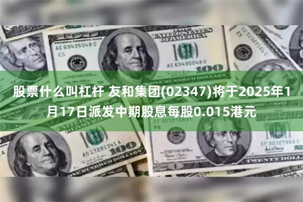 股票什么叫杠杆 友和集团(02347)将于2025年1月17日派发中期股息每股0.015港元